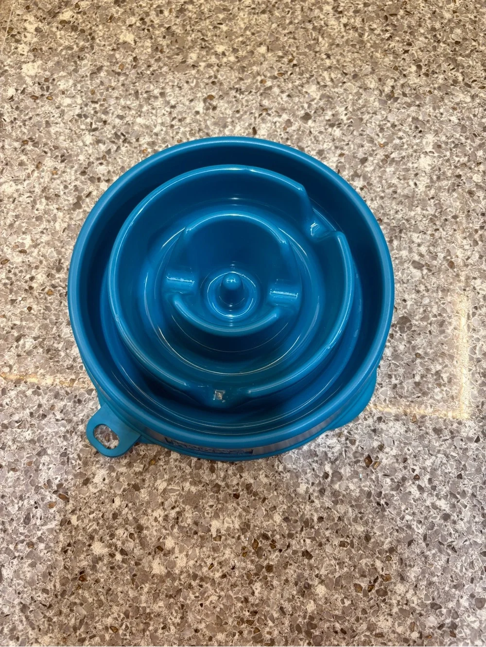 Outward Hound Teal Slow-Feed Maze Bowl